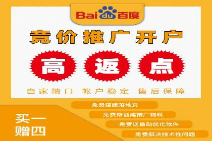 竞价广告赚钱秘籍：百度实战案例